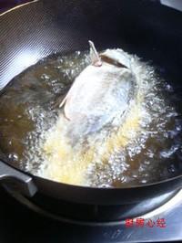 鯽魚蘿卜絲湯的做法圖解1