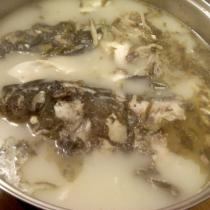 花鰱魚頭豆腐湯的做法